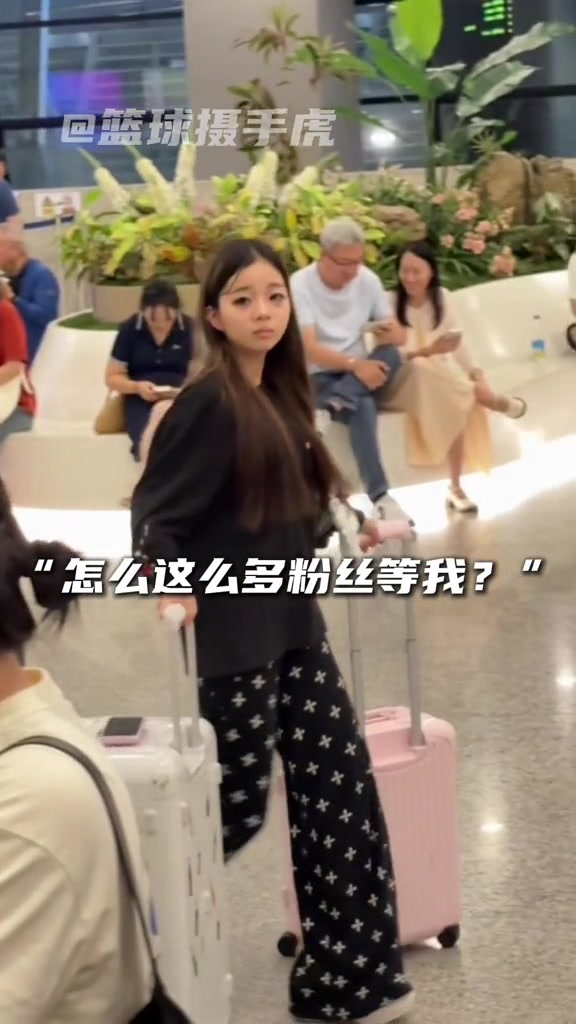 这人比我还火?网红树懒女孩isa被杰伦·威的球迷粉丝惊讶到了