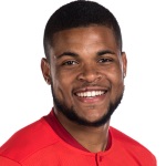 维蒂尼奥