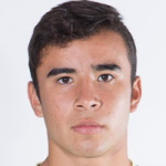 伊列斯卡斯