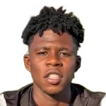 F.阿托恩
